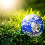 Inwentaryzacja przyrodnicza – kiedy jest wymagana i jak wygląda w praktyce?