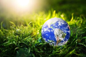 Inwentaryzacja przyrodnicza – kiedy jest wymagana i jak wygląda w praktyce?