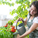 Ogród warzywny bez chemii – jak prowadzić uprawy metodą eko?